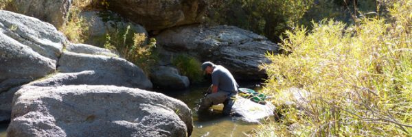 A man stands in a river surrounded by boulders and shrubs and fills a pan with silt from the river bottom.