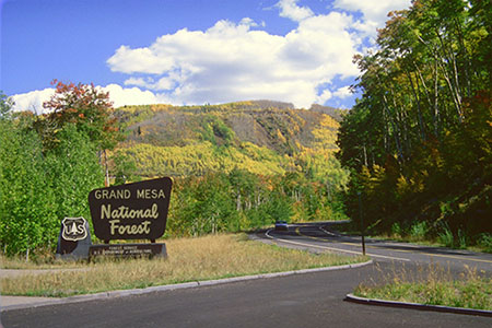 A paved road winding through evergreen and aspen trees that are changing color for the fall. A sign in the foreground reads, "Grand Mesa National Forest."