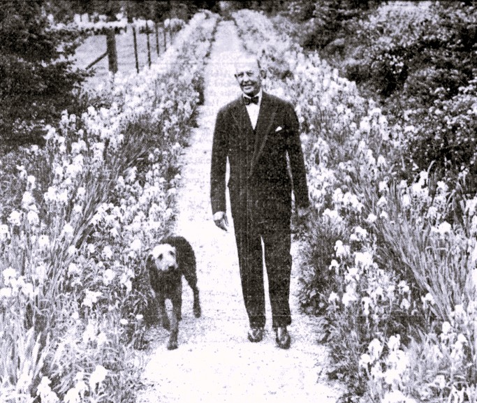 A man in a suit and bowtie walks down a path with his dog.