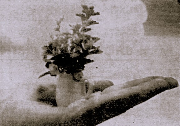 A hand holds a tiny bouquet in a vase.