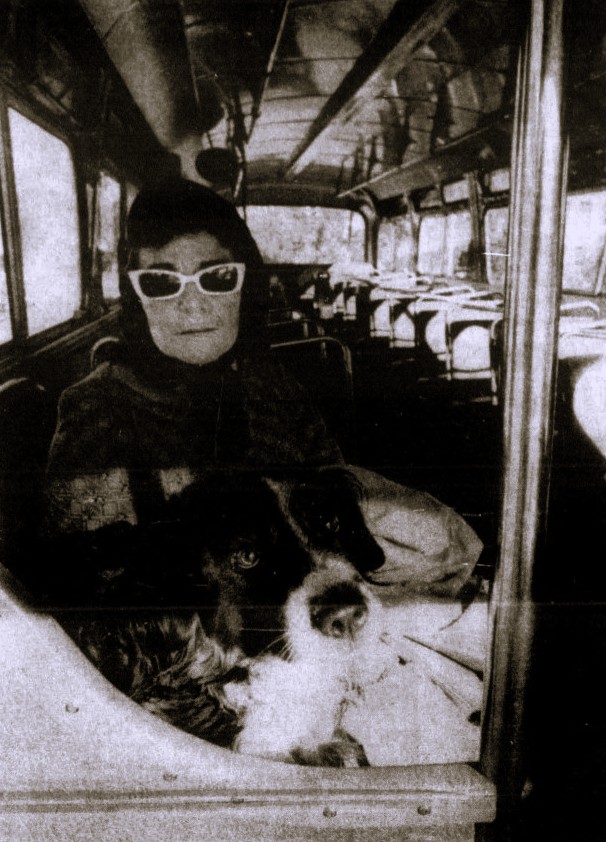 A woman and her dog ride the bus.