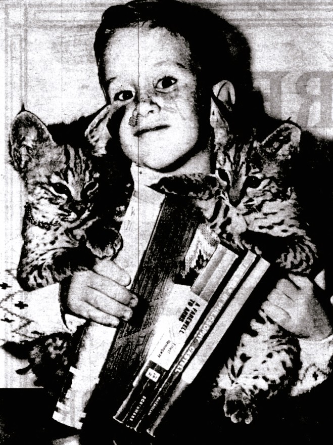 A boy holds up two bobcat kittens and a stack of books.