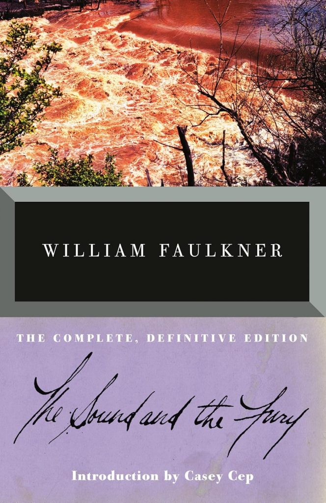 Cover art for the Sound and the Fury.