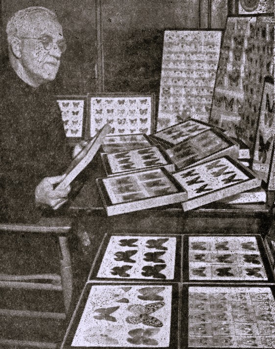 A priest sits surrounded by his butterfly specimen collection.