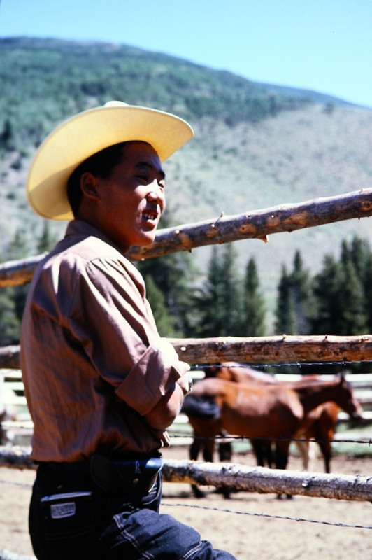 A Nepalese man wears Western ranch-style clothes and looks at penned horses.