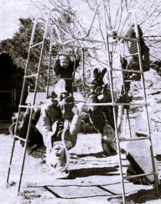 Five children climb on playground equipment.