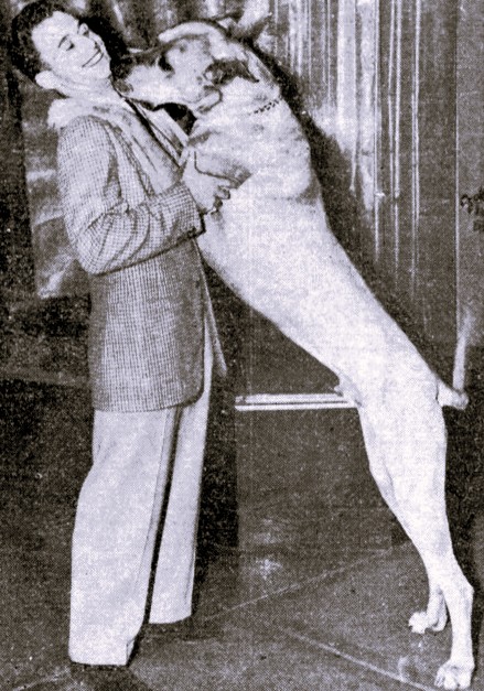 A large dog stands on his hind legs and leans on his owner.