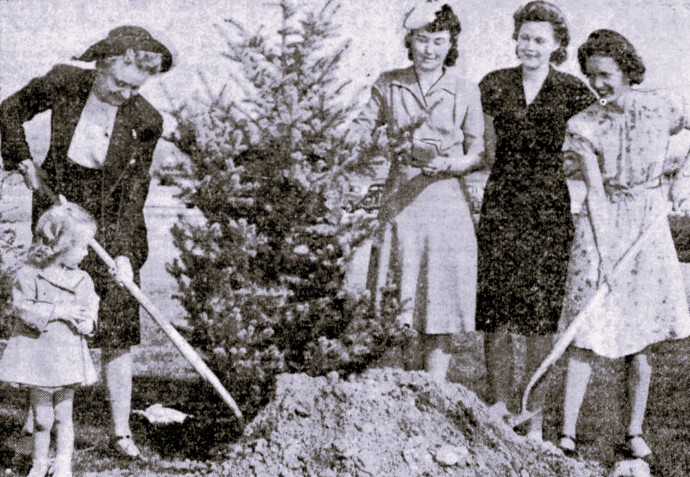 Four women and a young girl plant a tree.