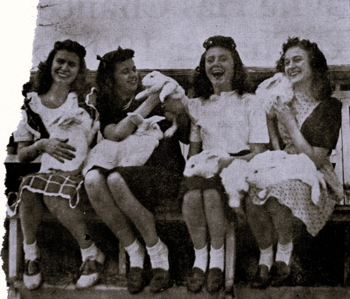 Four young women hold white rabbits.