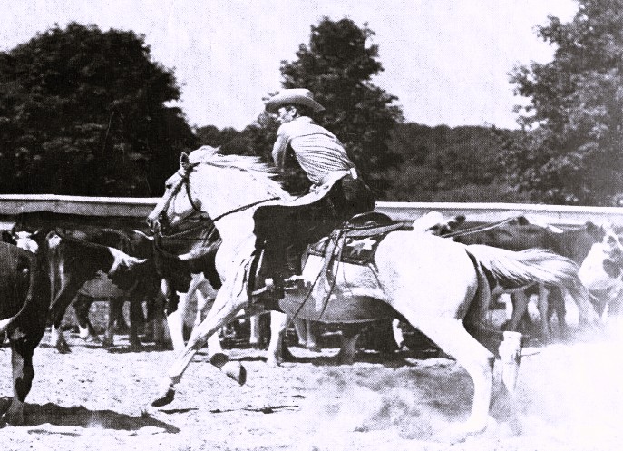 A man on a horse drives cattle.