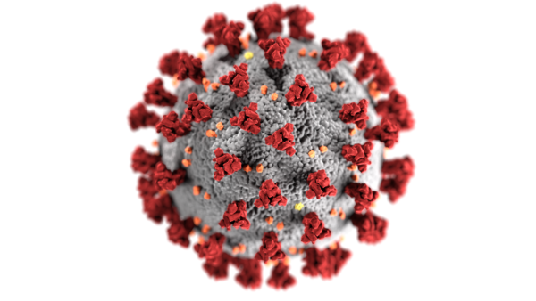 Illustration of Coronavirus