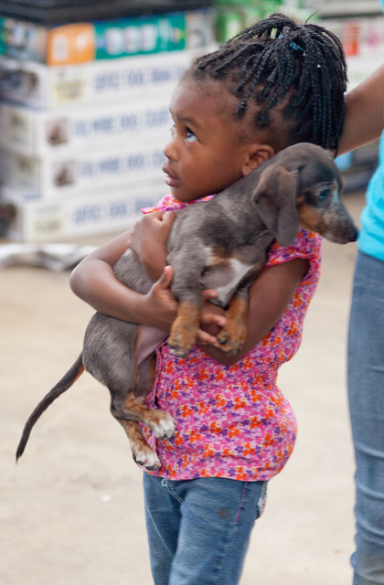 pets, disaster planning, Animal Resource Center Moore Oklahoma tornado