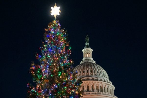 The 2020 U.S. Capitol Christmas Tree