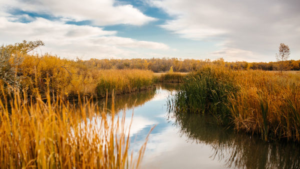 Cherry Creek State Park