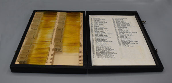 a flat wooden box filled with microscope slides with hair samples