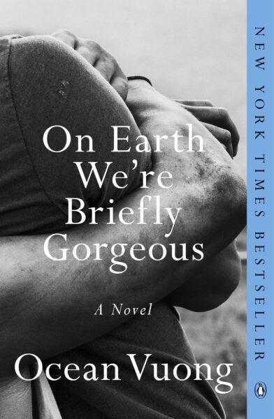 Cover of On Earth We're Briefly Gorgeous A Novel