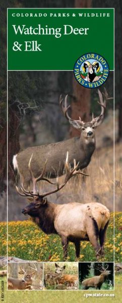 Colorado Parks & Wildlife pamphlet: Watching Deer & Elk (PDF)
