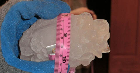 A close-up photo of a scientist holding a tape measure around a very large hailstone. The tape measure around the circumference of the hailstone reads 9.5 inches.