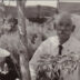 A black and white photograph showing a Japanese American man from the waist up. He is standing in a garden holding a leafy, medium-sized plant in a pot. He is standing next to a skinny tree and gardening tools. Shrubbery and barracks from the Amache camp can be seen in the background.